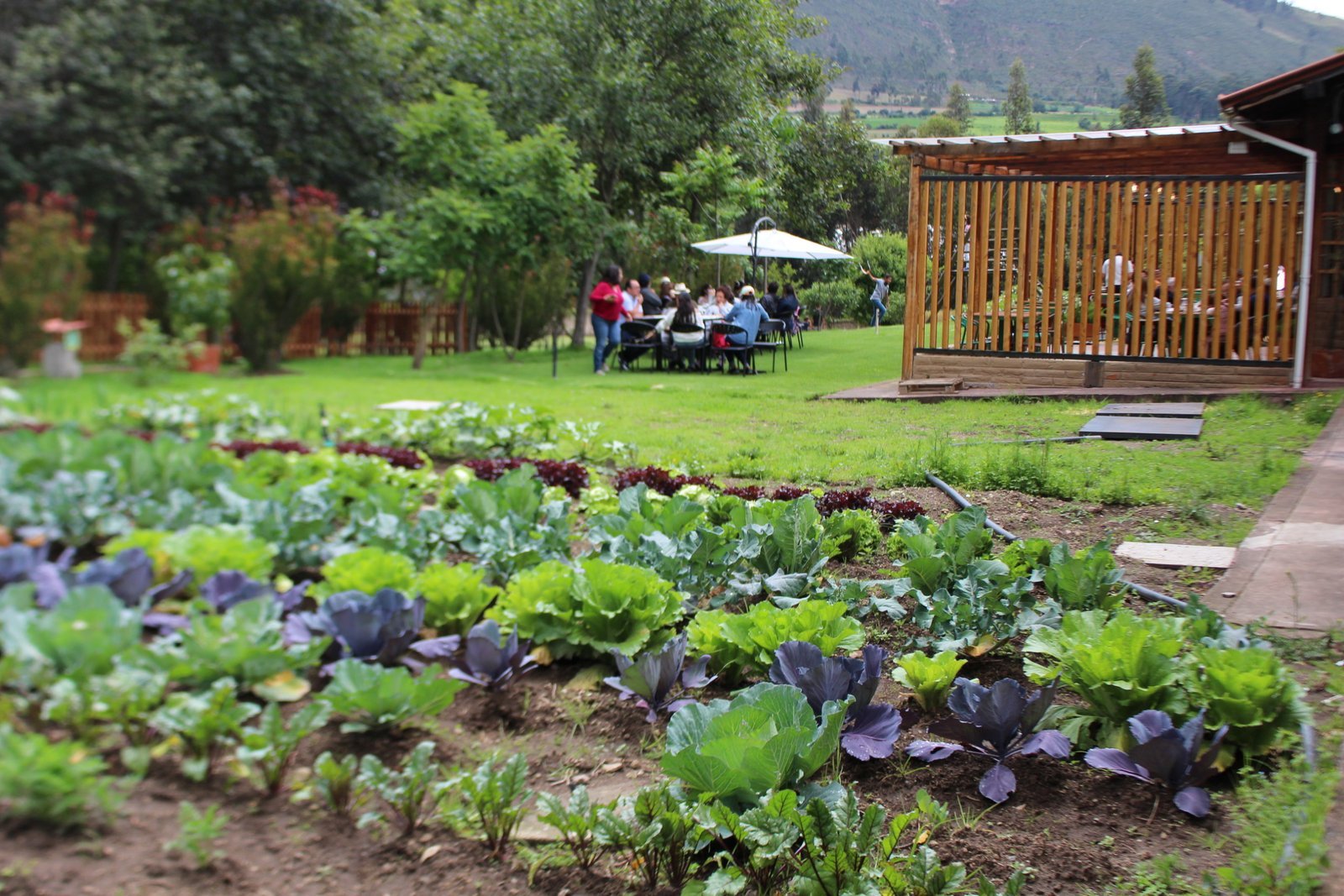 Jardín con huerto y mesas al aire libre en La Doña Hacienda, con personas compartiendo y las montañas al fondo